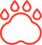 Wild Dog Trapping